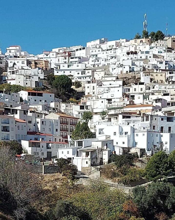 Вілла Cortijo Blanco Albondon Екстер'єр фото